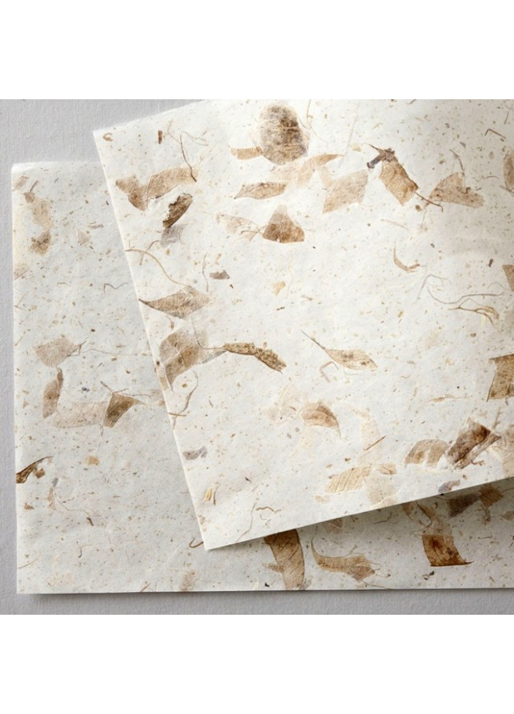 WACCA paper • 天然色系包裝和紙組合